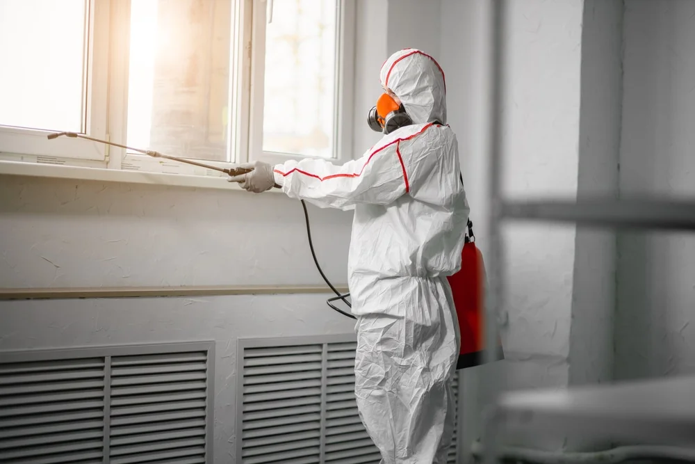 Professional mold remediation services in Ostrander, OH
